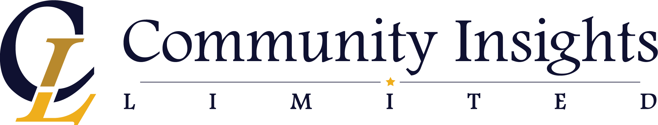 COMMUNITY INSIGHTS LTD